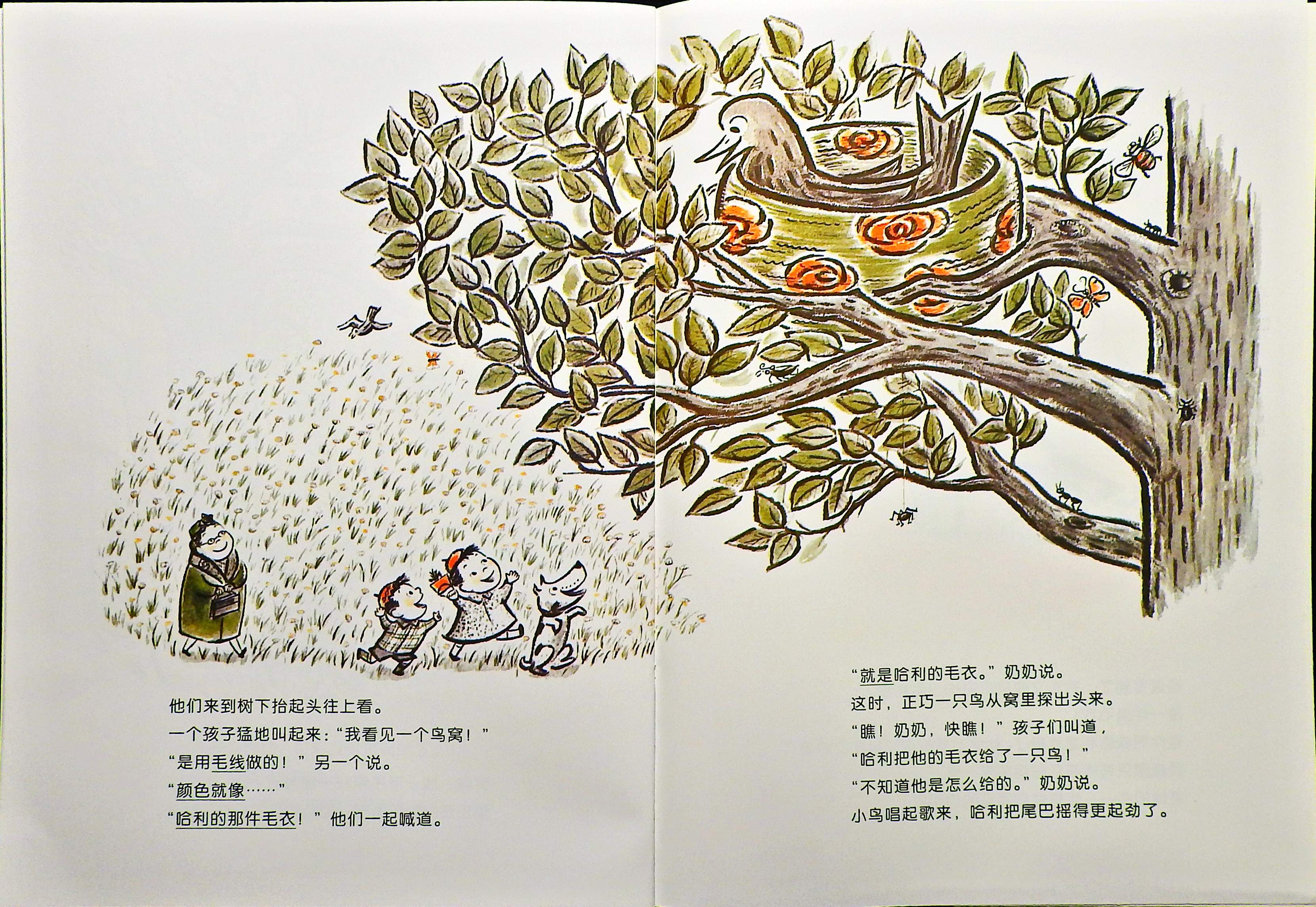 哈利的花毛衣 (17),绘本,绘本故事,绘本阅读,故事书,童书,图画书,课外阅读
